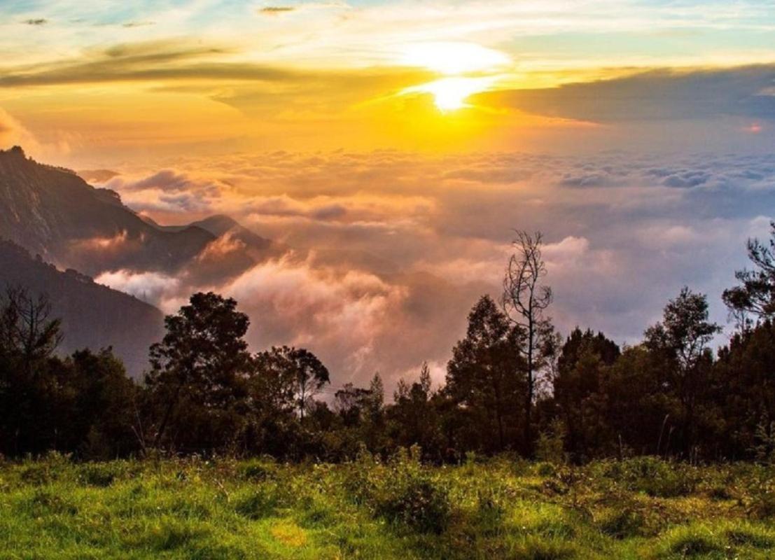 Cloud Walk Acomodação com café da manhã Kodaikanal Exterior foto