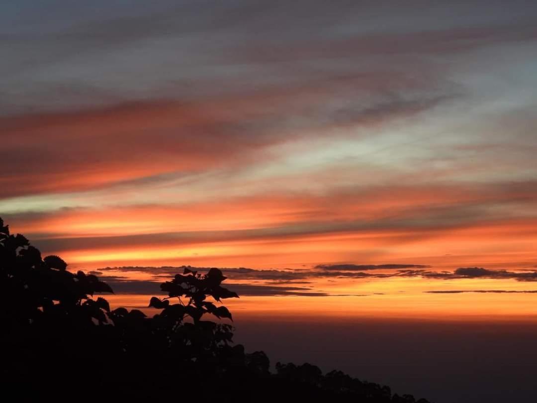 Cloud Walk Acomodação com café da manhã Kodaikanal Exterior foto